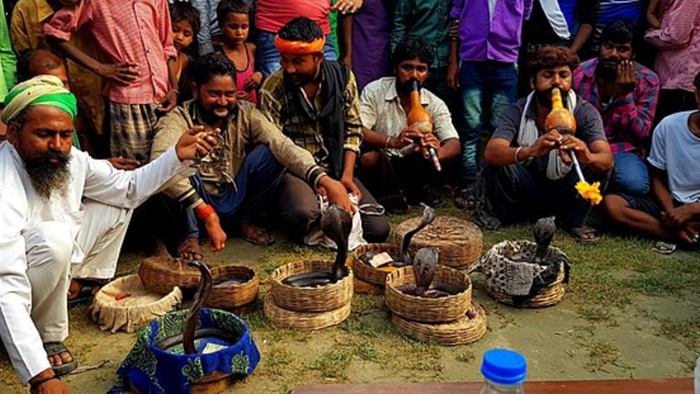 India mulls reptile river guards on Bangladesh border